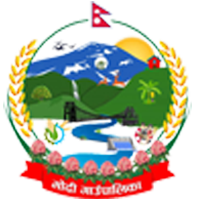 Local Government Logo